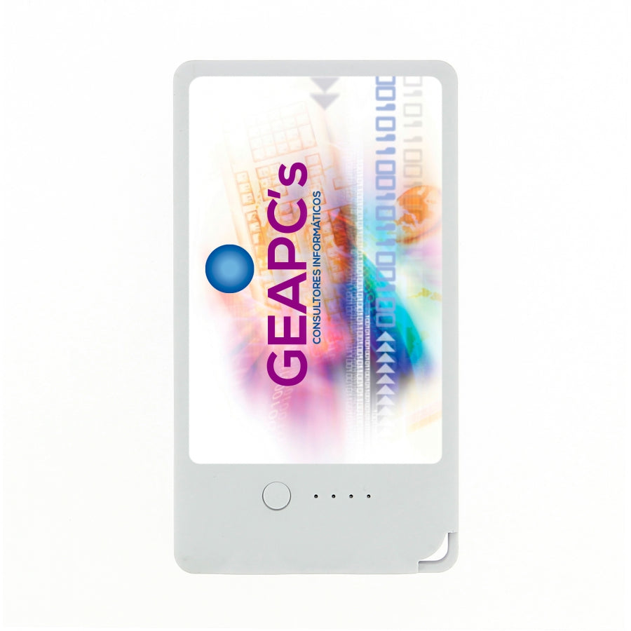 09647 Caricatore Portatile Rettangolare Dual USB 8000 3