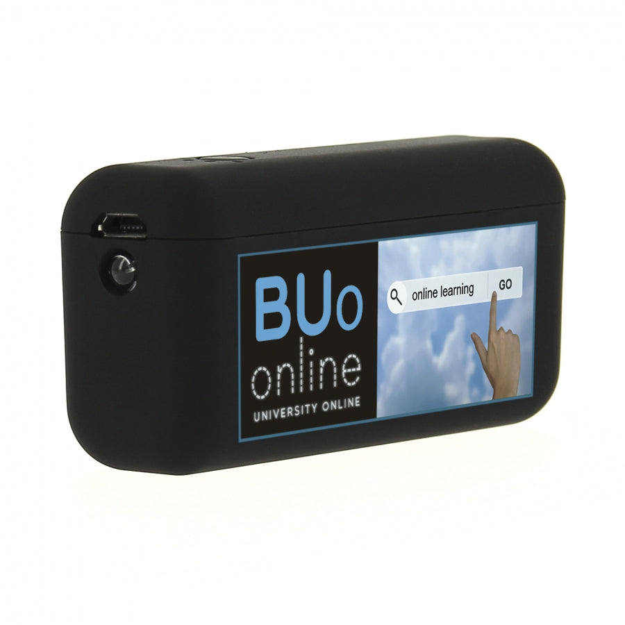 09649 Caricatore Portatile Tascabile 2600 con Torcia Led 3